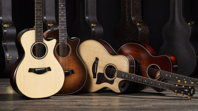 New Taylor Guitars Updates For 2020