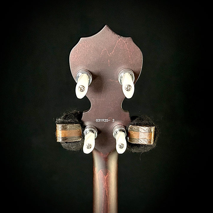 Artisan Goodtime Special 5-String Banjo