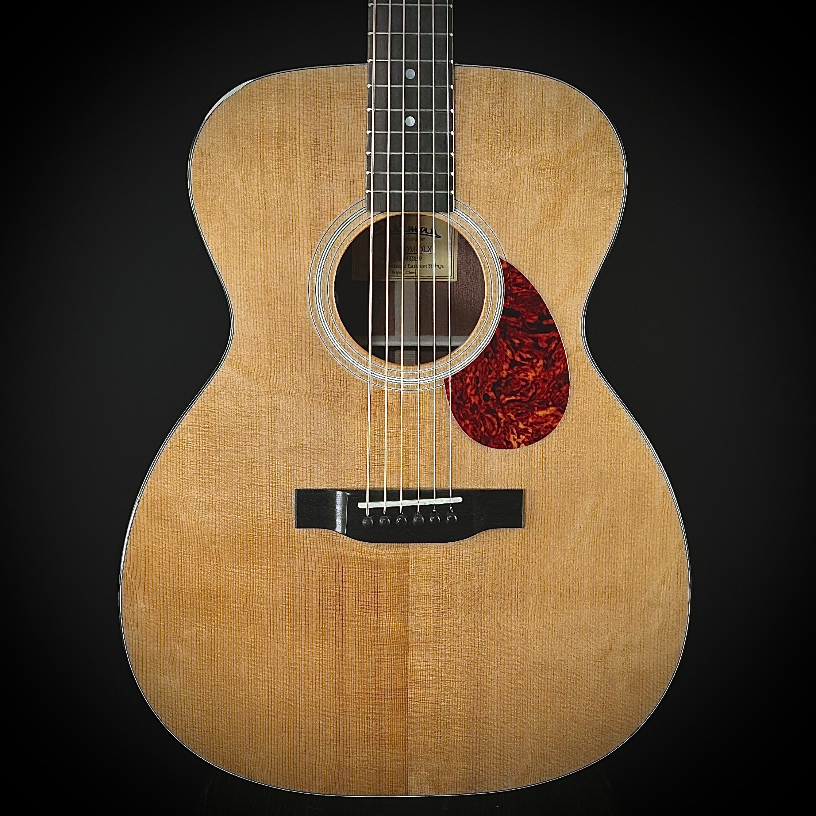 Eastman E10M Deluxe – Music Villa MT