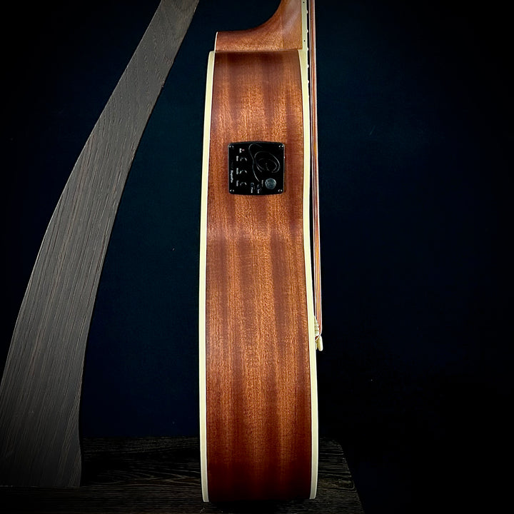 Ortega D7CE 5-String