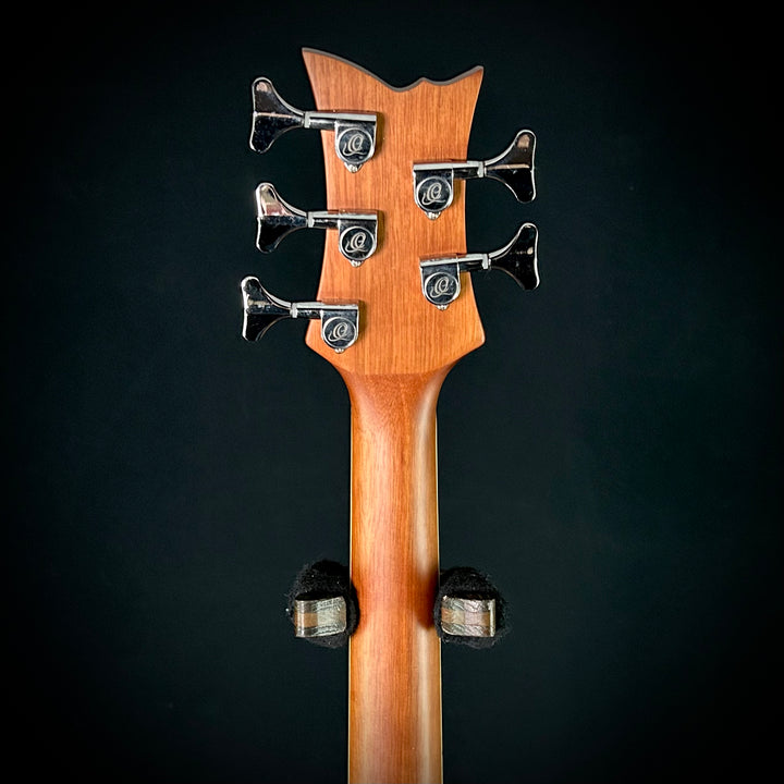 Ortega D7CE 5-String