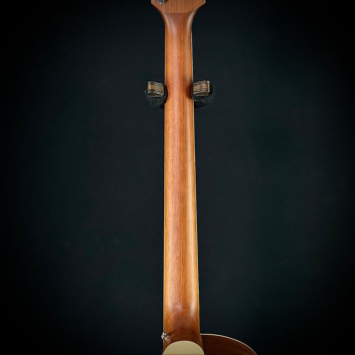 Ortega D7CE 5-String