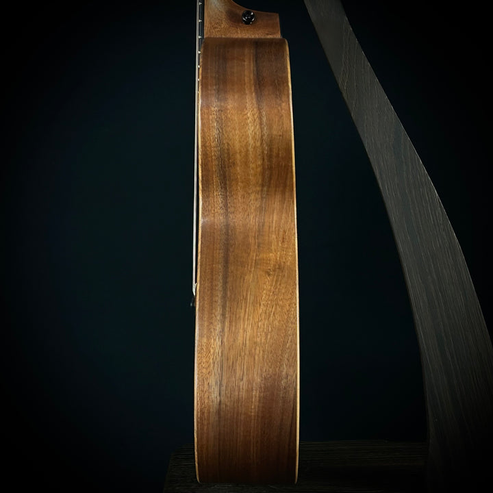 Taylor Jacob Collier Signature Model 6-String