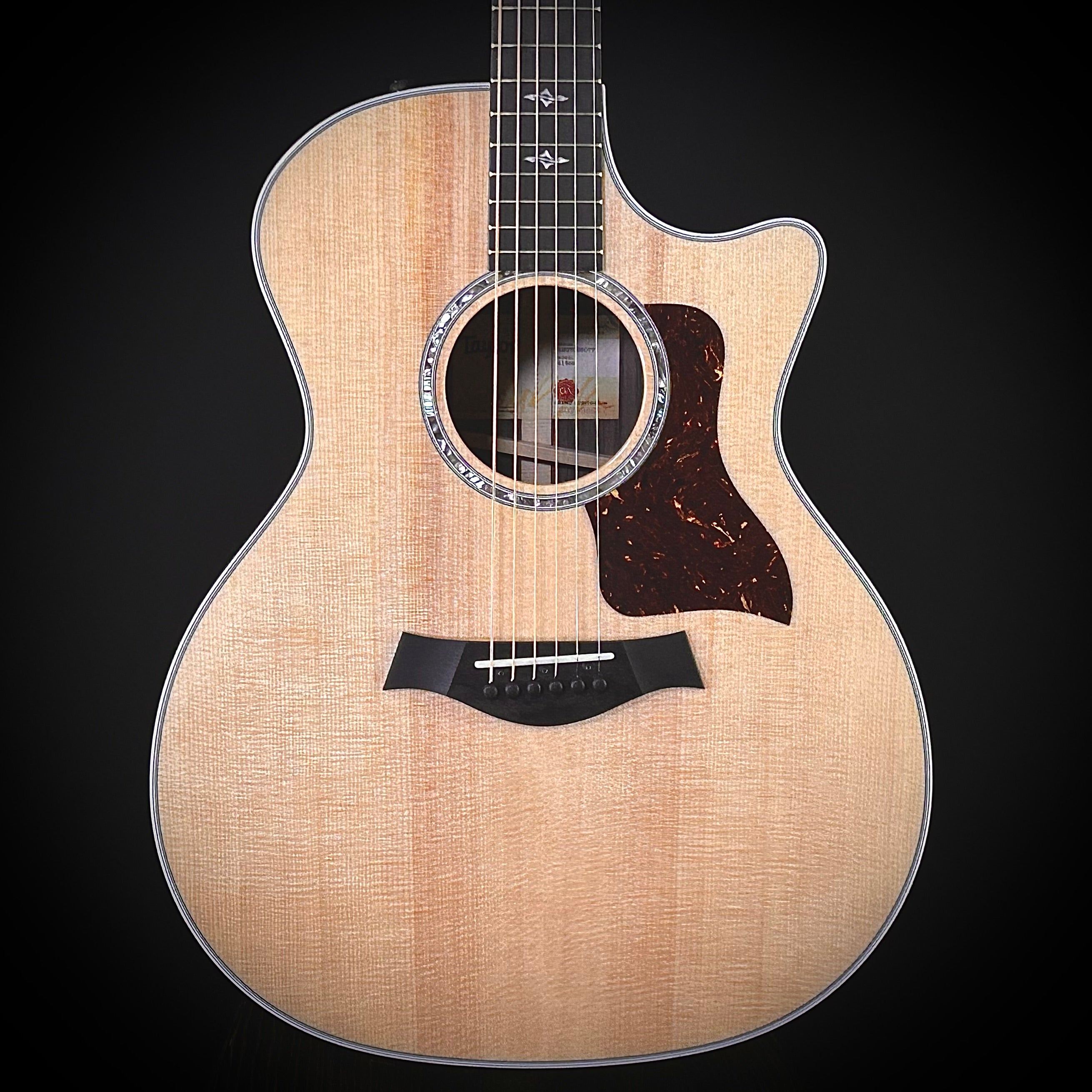 Taylor 414ce-Rosewood – Music Villa MT
