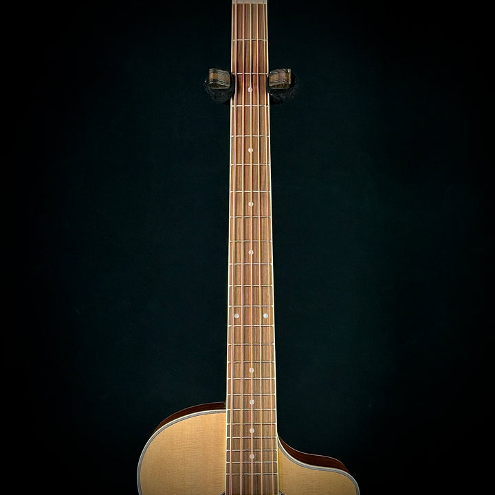 Ortega D7CE 5-String