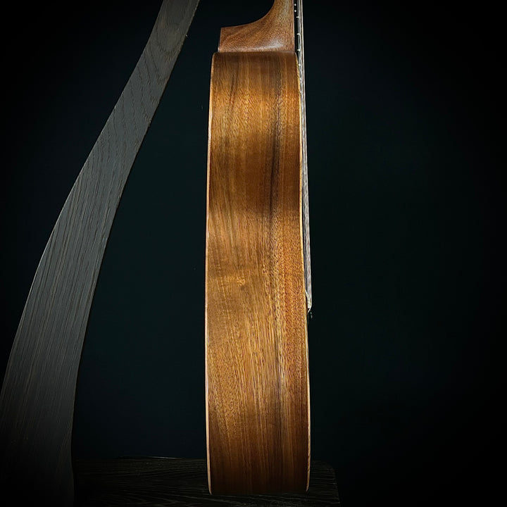 Taylor Jacob Collier Signature Model 6-String