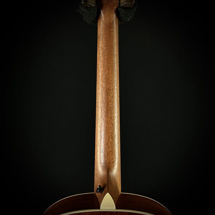 Taylor C17 MV Custom - Mahogany