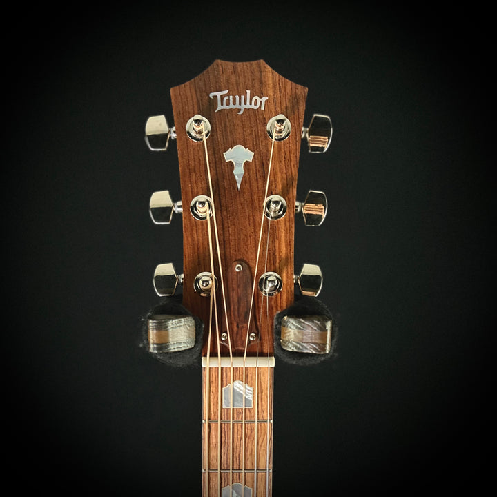 Taylor C18 MV Custom - Walnut