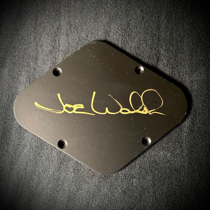 PRS McCarty Singlecut Joe Walsh Limited (USED)