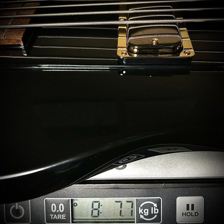 Epiphone Rex Brown Thunderbird Bass