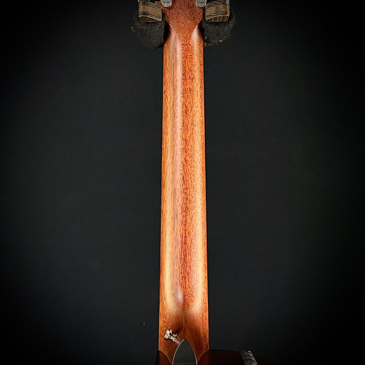 Taylor 354CE 12-String