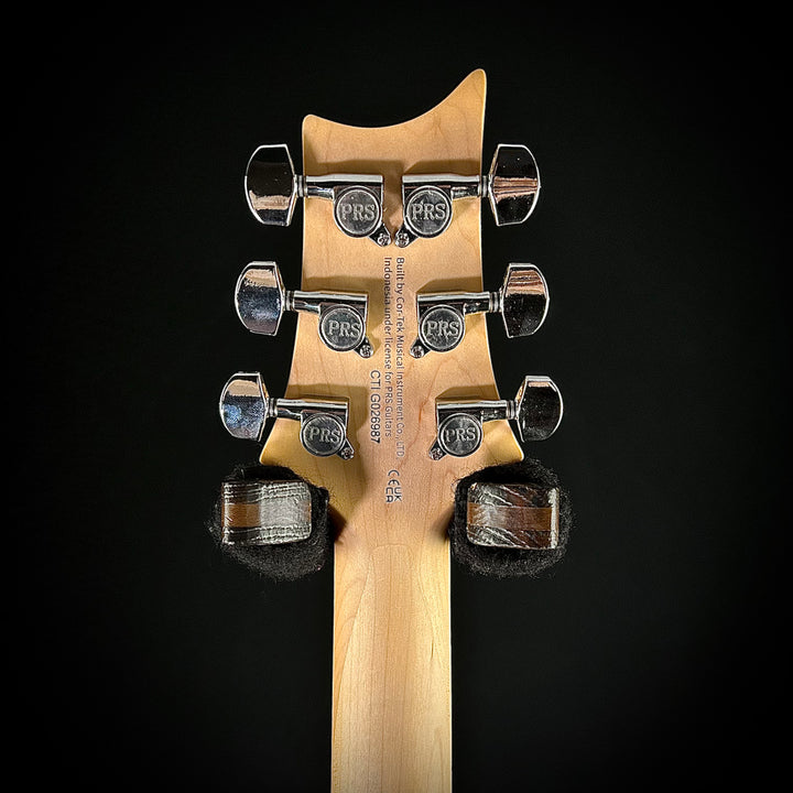 PRS SE Swamp Ash Special