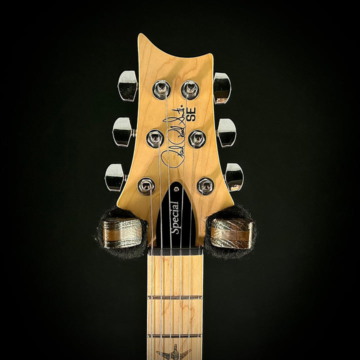 PRS SE Swamp Ash Special