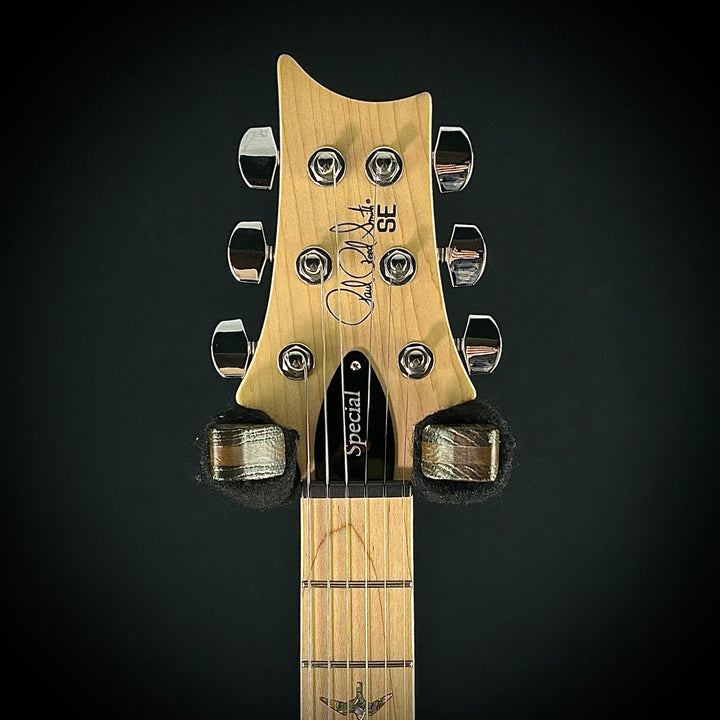 PRS SE Swamp Ash Special