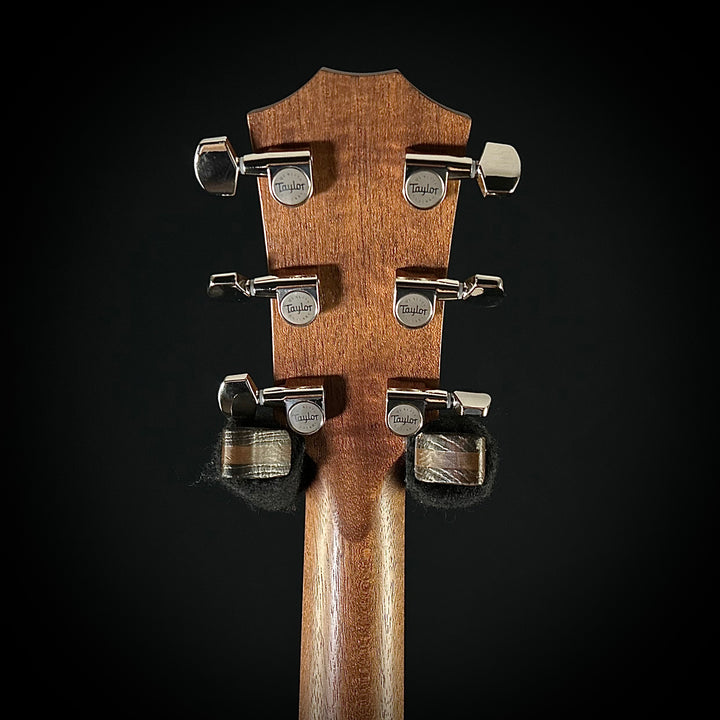 Taylor C17 MV Custom - Mahogany