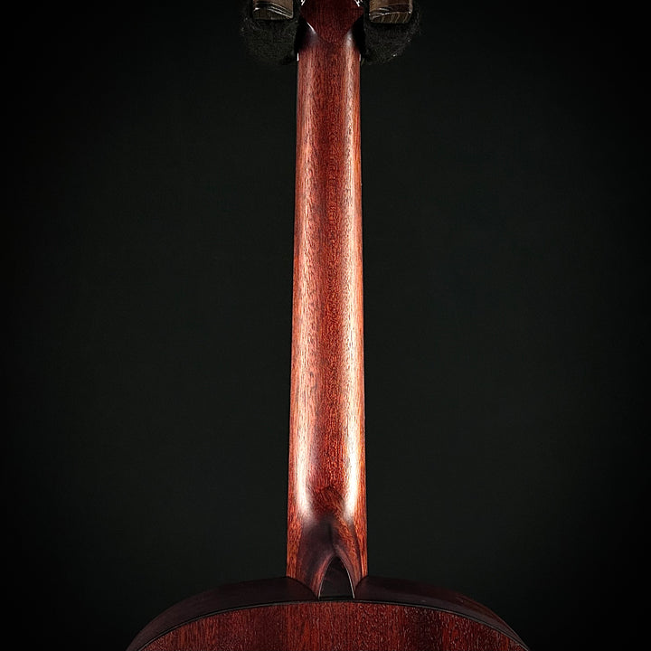 Eastman E1SS - Sunburst