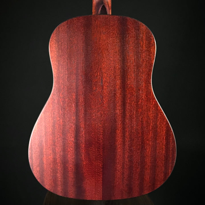 Eastman E1SS - Sunburst