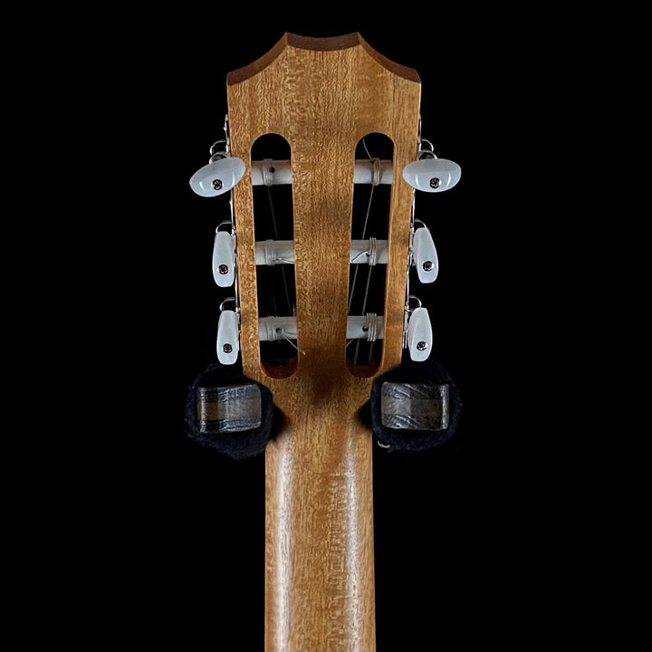 Taylor Academy 12 Nylon String