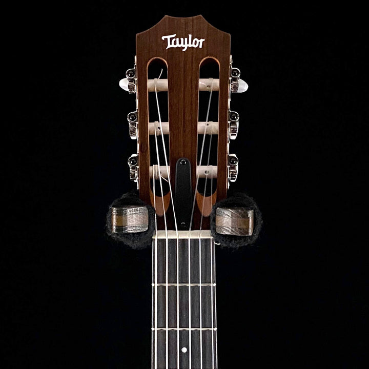 Taylor Academy 12 Nylon String