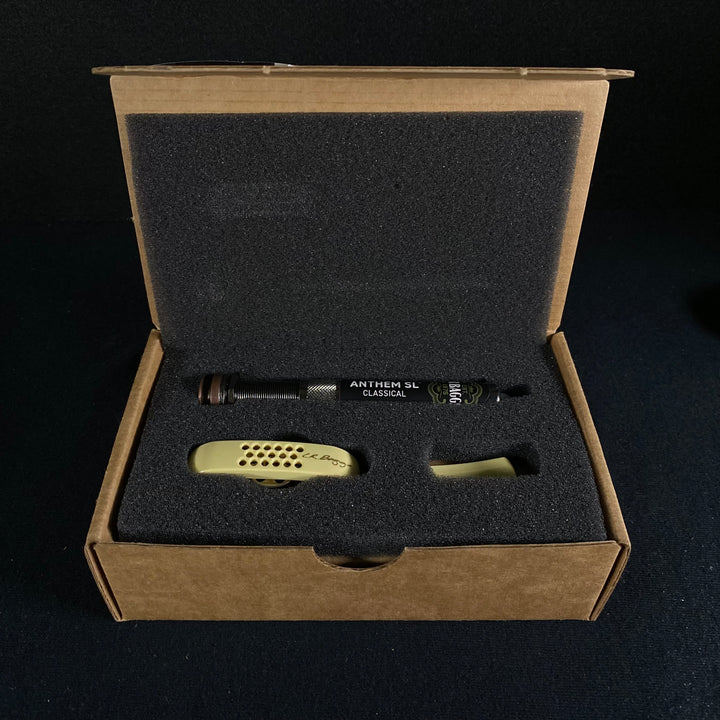 L.R. Baggs Classical Anthem SL