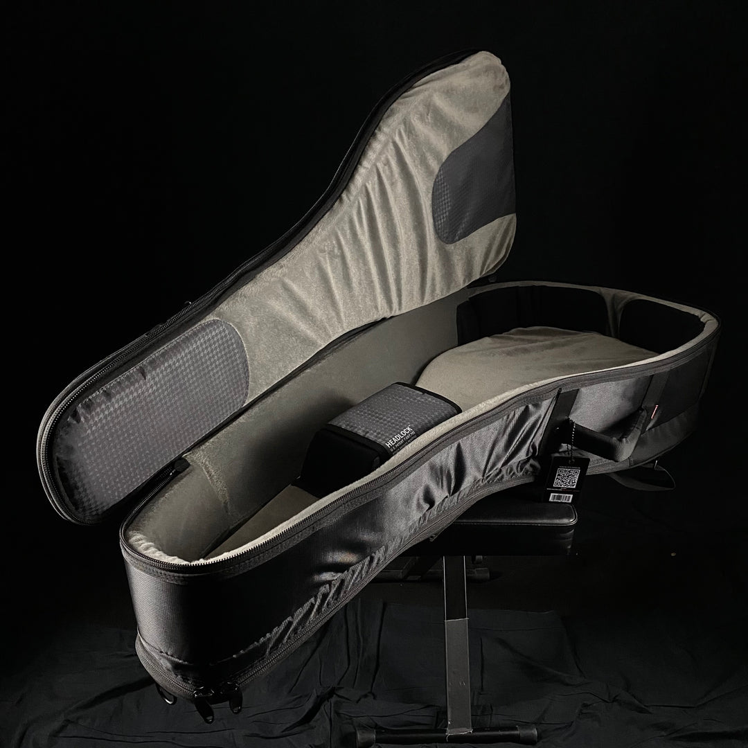 Mono Dual Acoustic/Electric Case