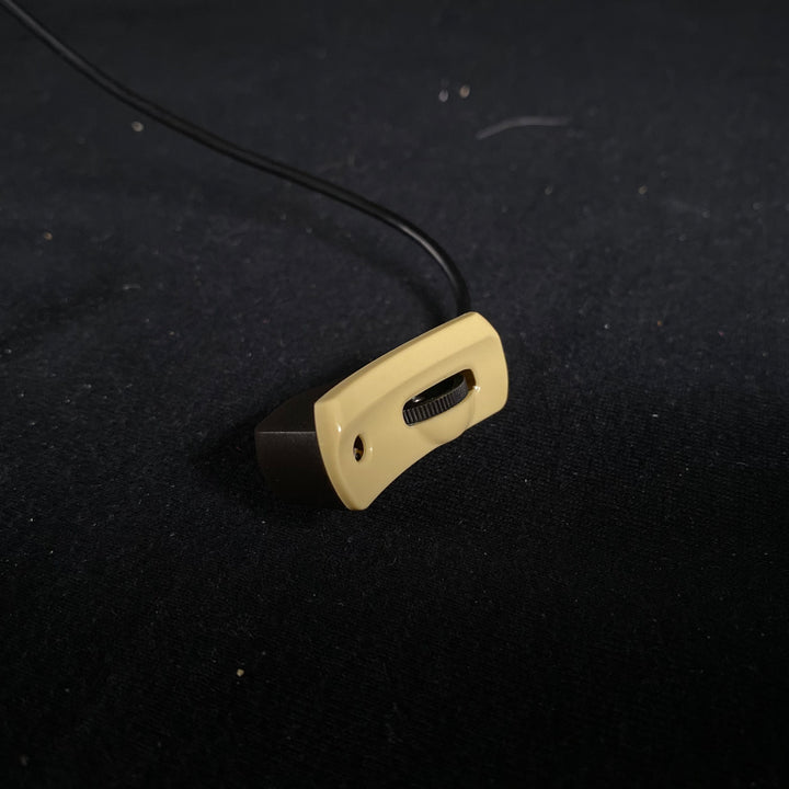 L.R. Baggs Classical Anthem SL