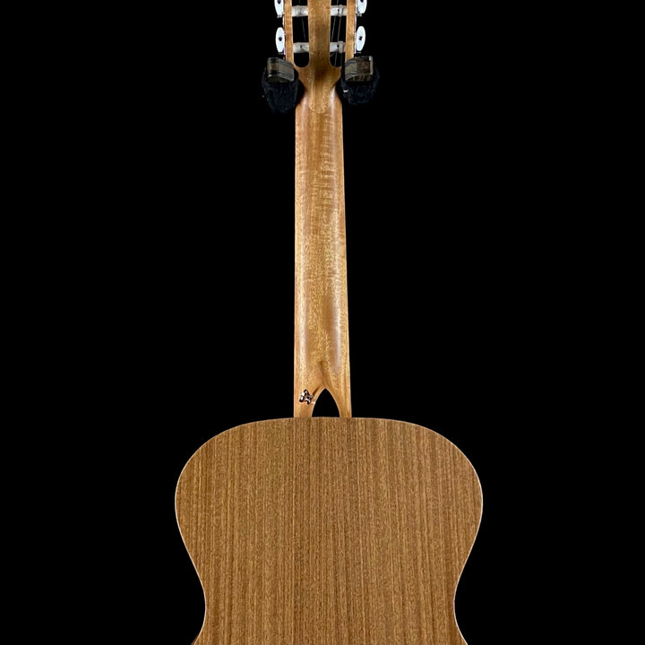Taylor Academy 12 Nylon String