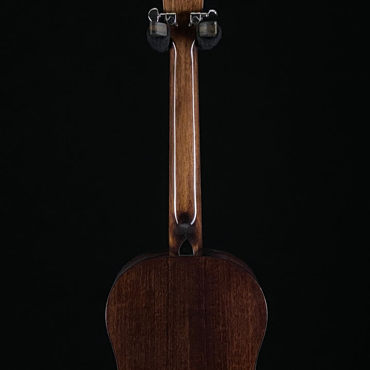 Recording King G6 Series Solid Top Single 0
