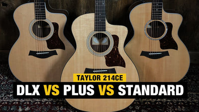 Comparing Taylor Guitars | 214ce vs 214ce DLX vs 214 CE Plus