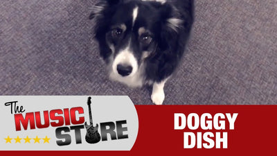 The Music Store: Doggy Dish