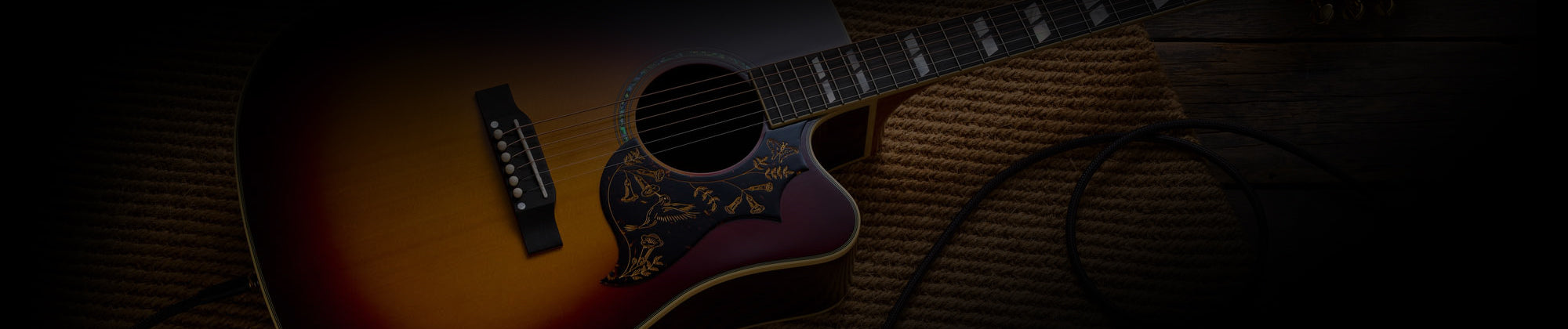 Epiphone Acoustics