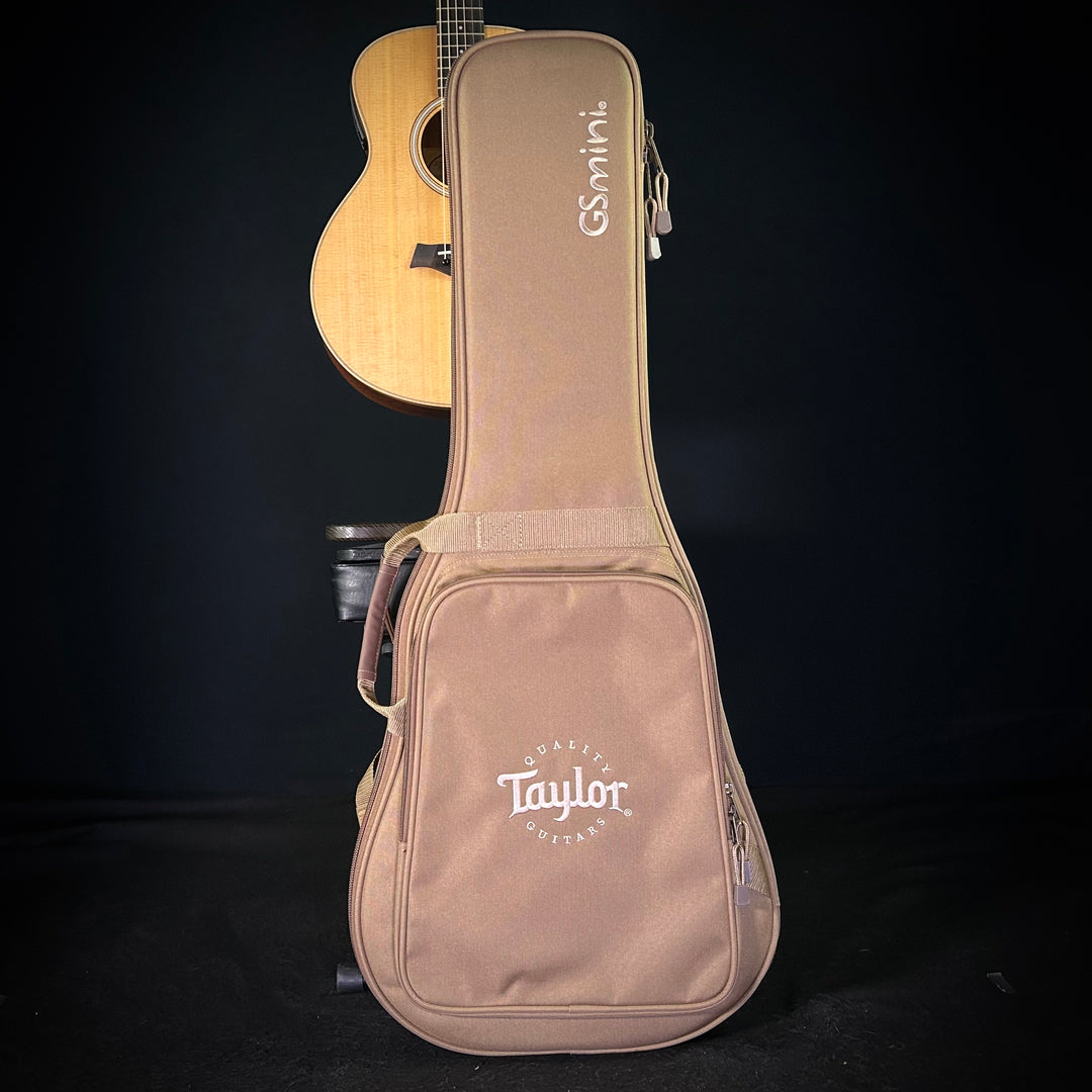 Taylor GS Mini-E Limited - Figured KOA