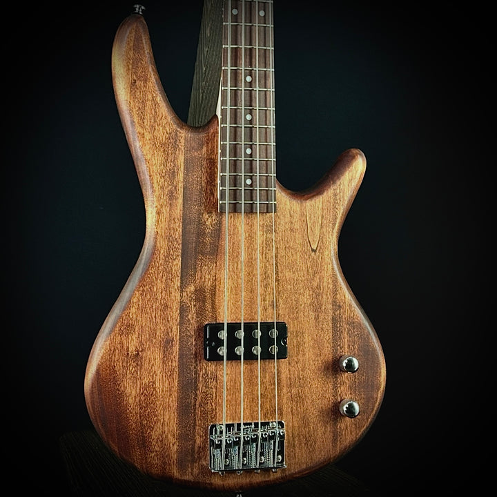 Ibanez GSR100 EX