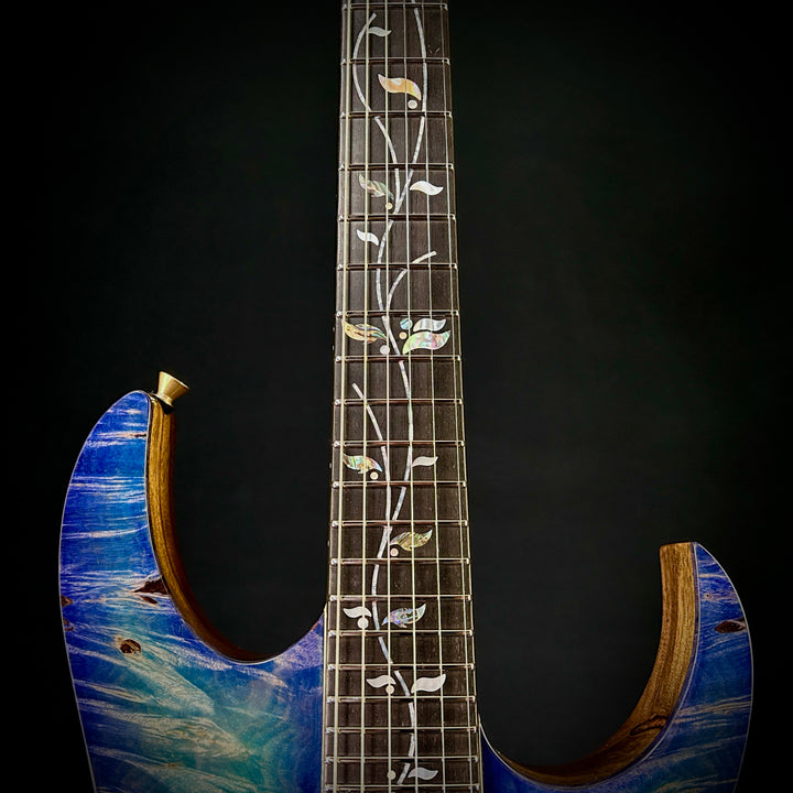 Ibanez IV2RG Visions