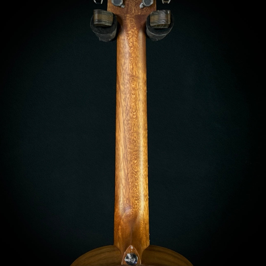 Ibanez PN2 Parlor