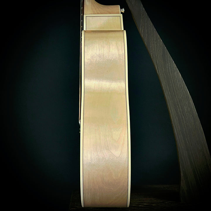 Alvarez AJ180ce 12-String