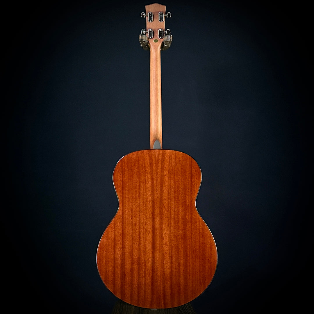 Gold Tone Tenor Guitar