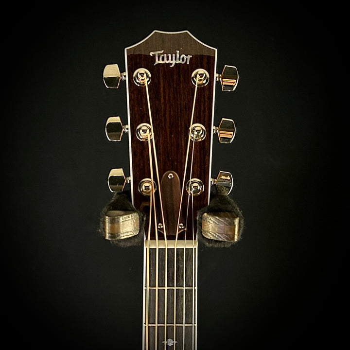 Taylor Legacy 810e