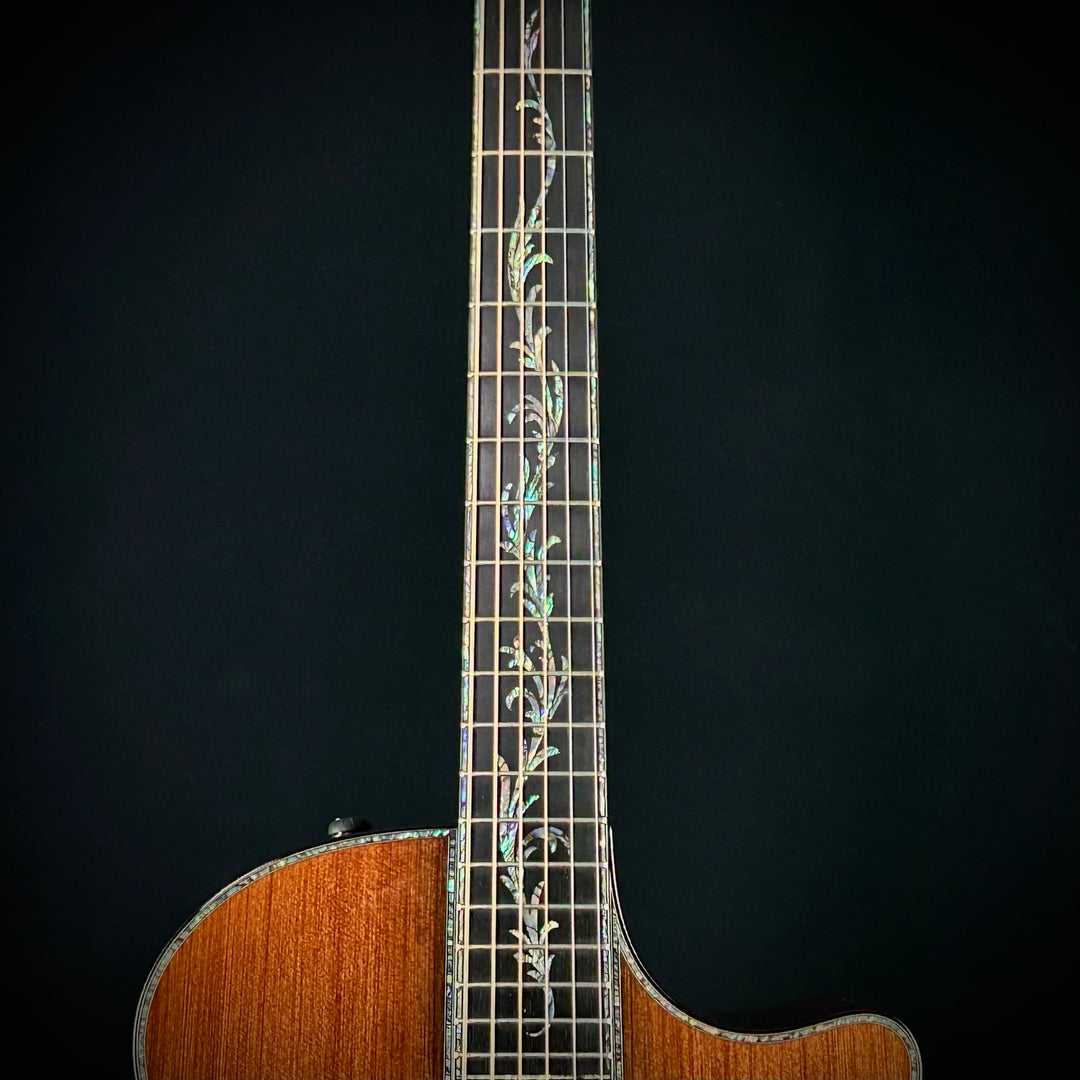 Taylor PS14ce (USED)