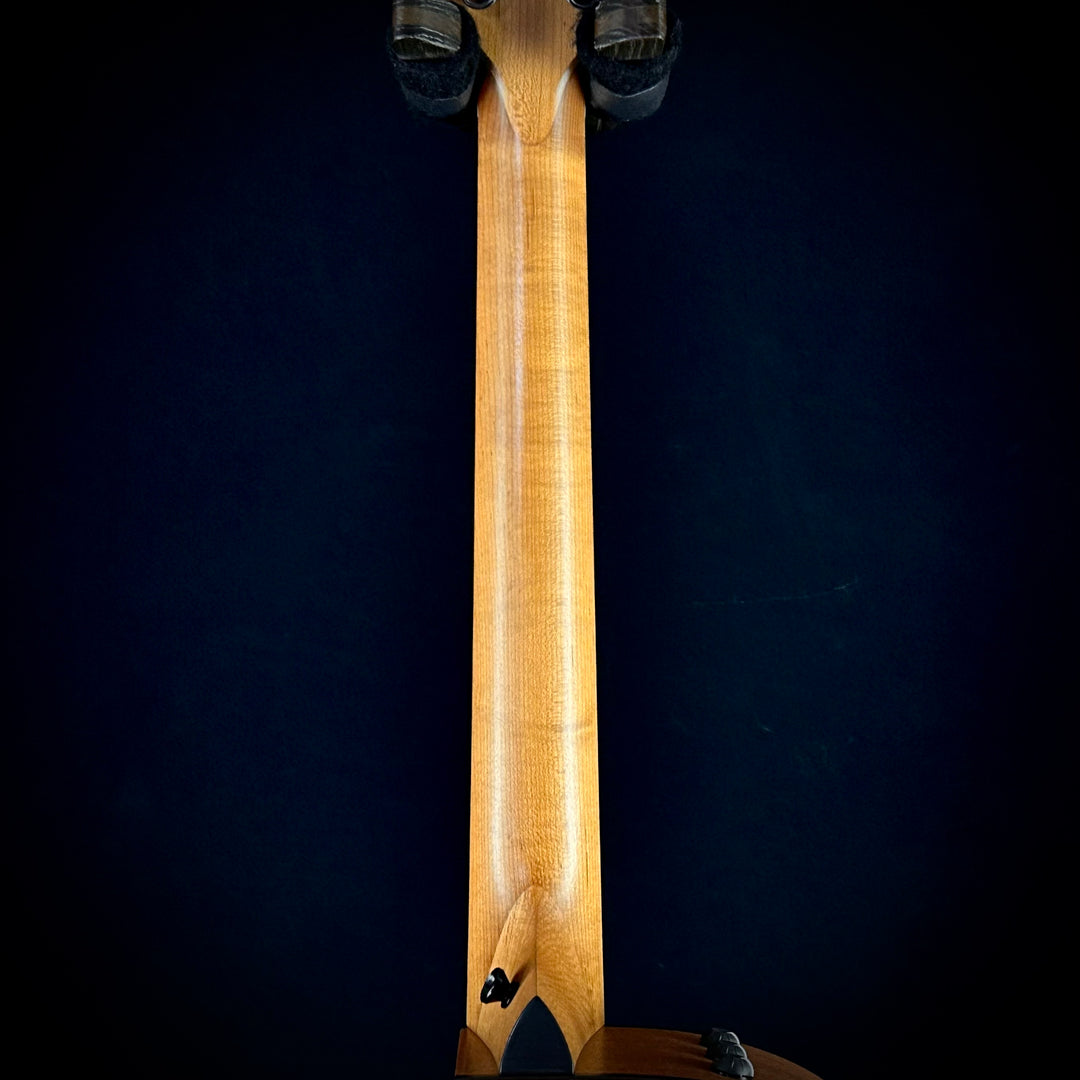 Taylor 114ce - Sapele