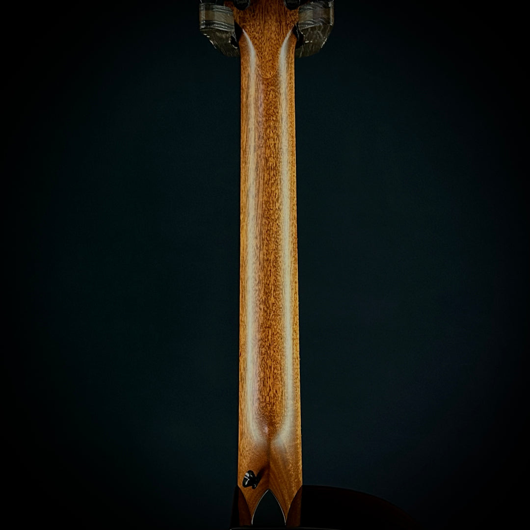 Taylor MV Custom 9-String - Grand Auditorium