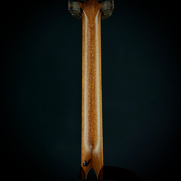 Taylor MV Custom 9-String - Grand Auditorium