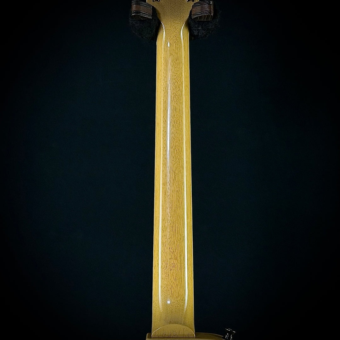 Gibson Les Paul Special (USED)