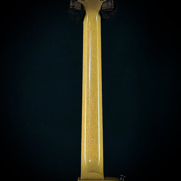 Gibson Les Paul Special (USED)