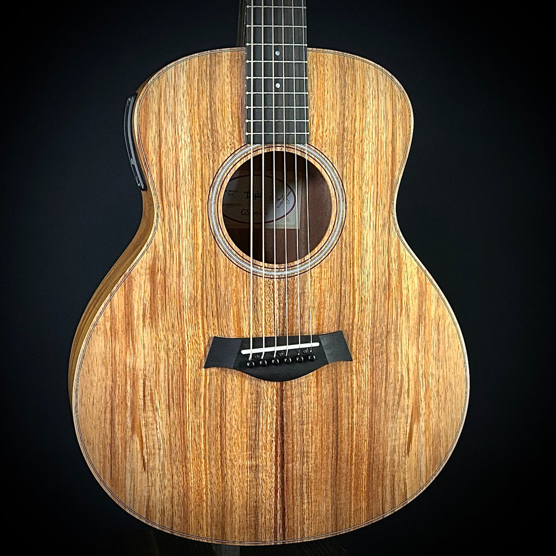 Taylor GS Mini-e-Koa