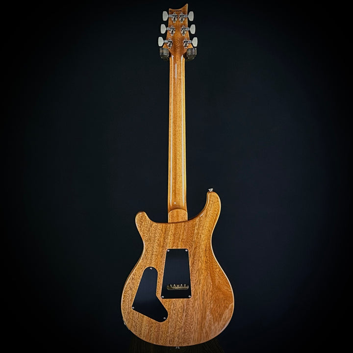 PRS Custom 24 Birds Of A Feather