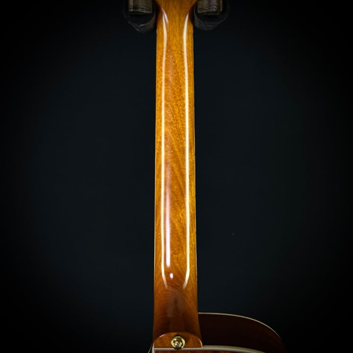 Epiphone Hummingbird Standard EC