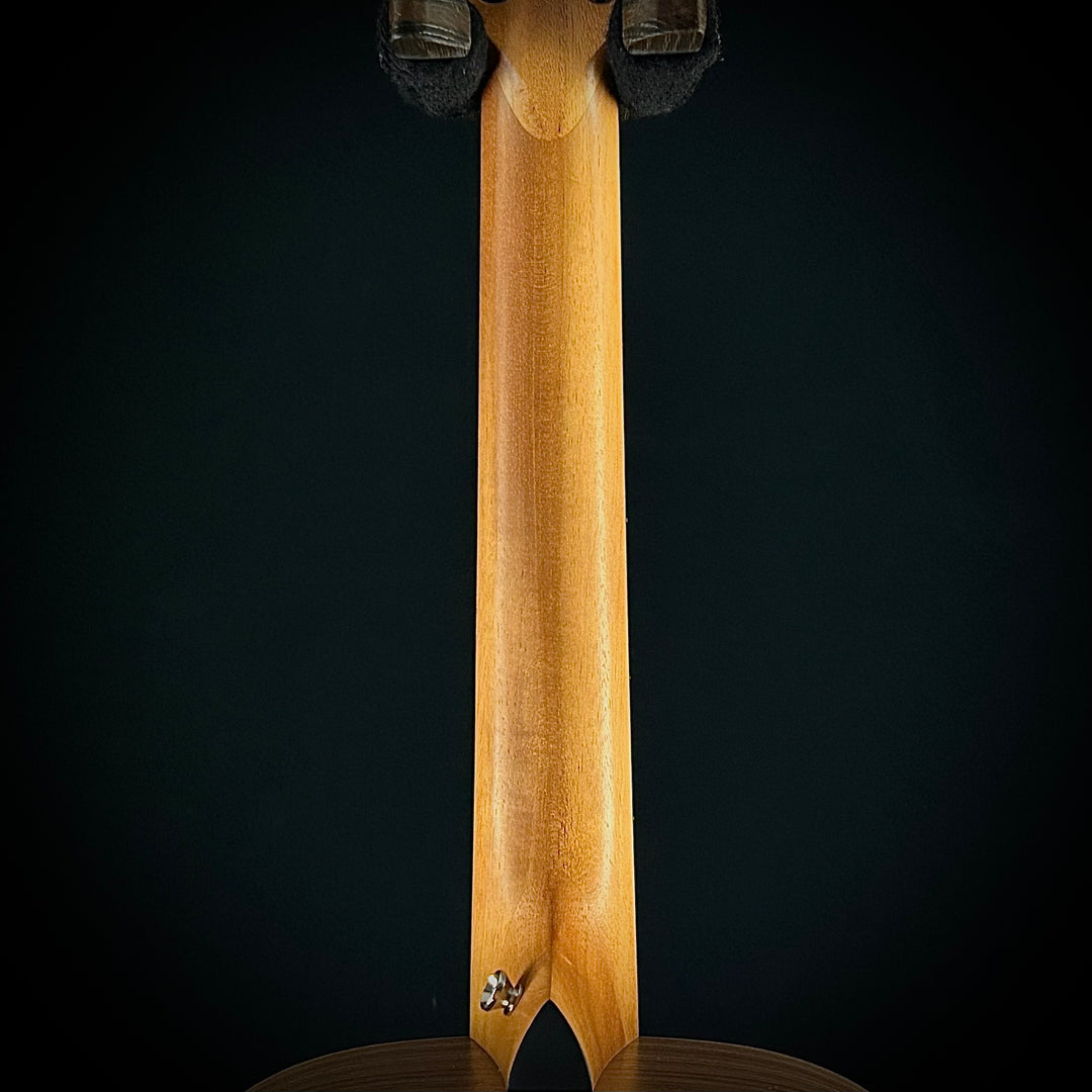 Taylor Academy 12E Nylon String