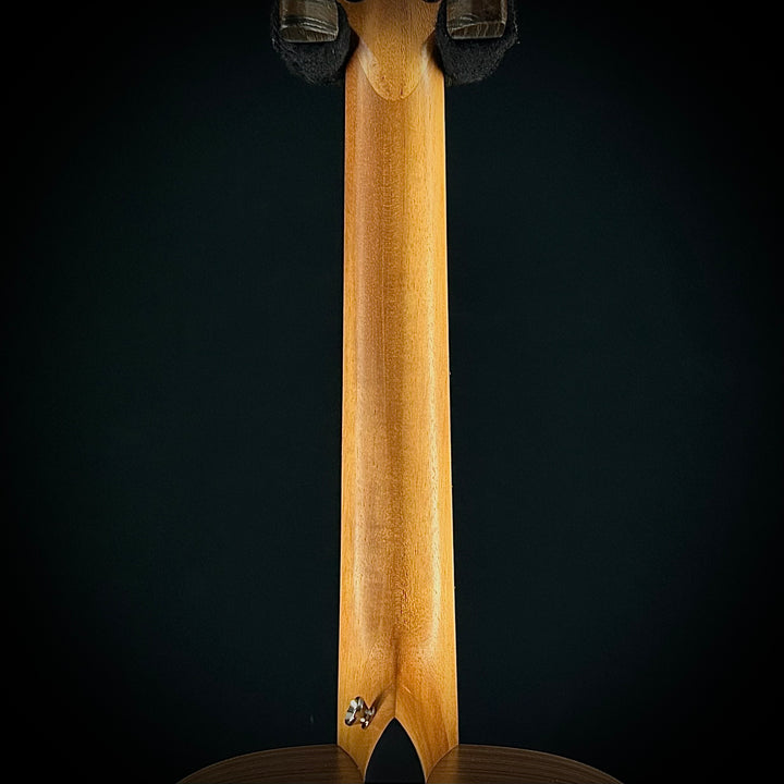 Taylor Academy 12E Nylon String