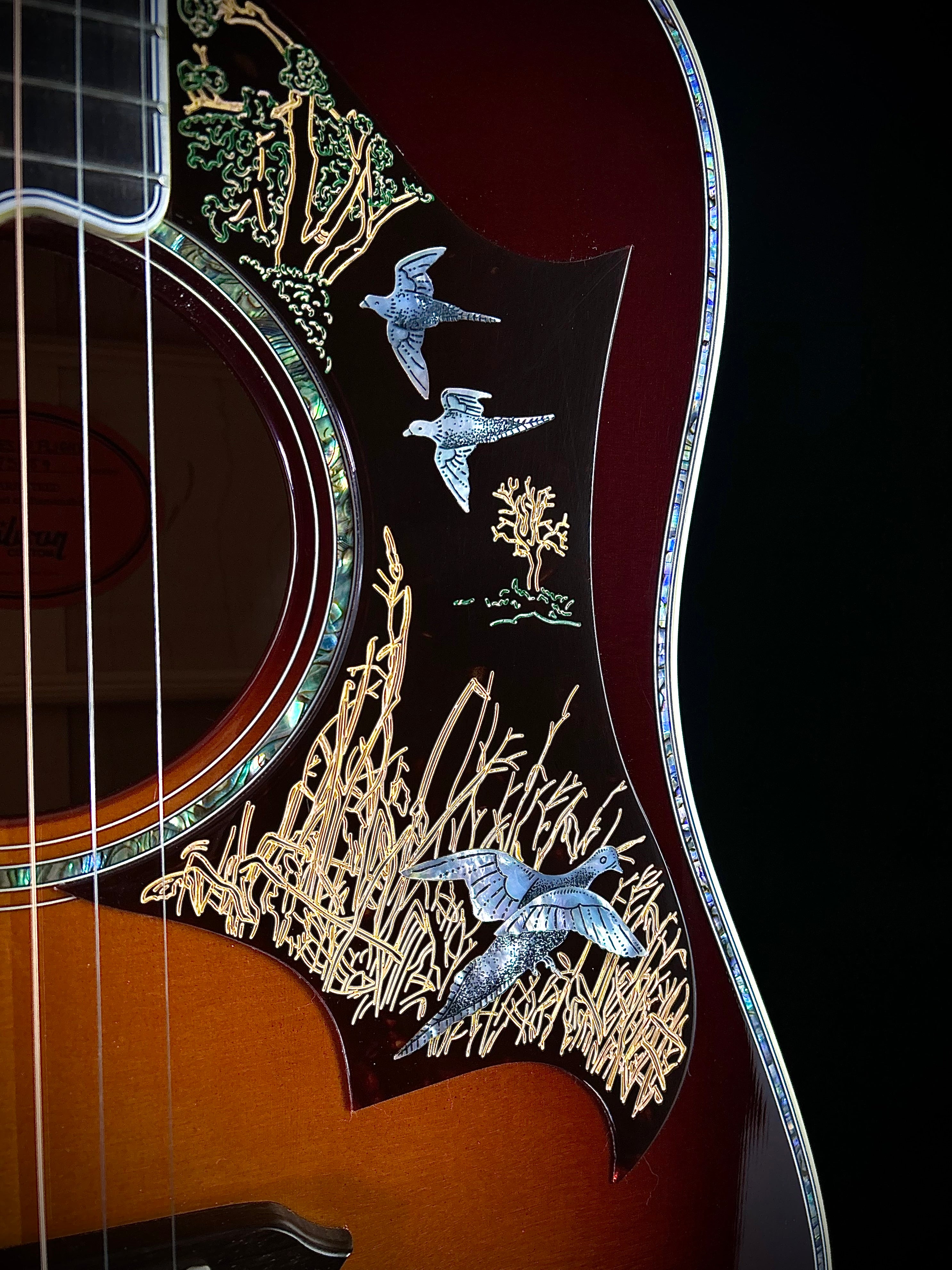 Gibson Doves in Flight - Autumn Burst – Music Villa MT